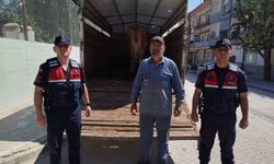 Eskişehir'de çalınan büyükbaş hayvanlardan biri Bilecik'te bulundu