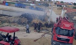 Eskişehir'de saman balyaları yandı