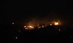 Ezine'deki orman yangınının enerjisi düşürüldü