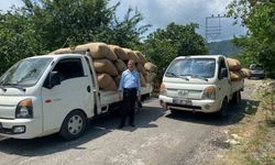 Fındık tüccarından üreticiye kritik uyarı: 'Dalından toplamayın, yere dökülmesini bekleyin'