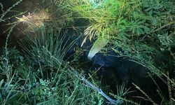 Göksun'da sulama kanalına düşen yaşlı adam ölü bulundu