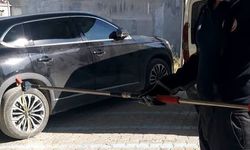 Hatay'da yerleşim alanlarına giren yılanları itfaiye yakaladı