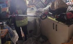 Hatay'da yerleşim yerlerine giren yılanlar yakalandı