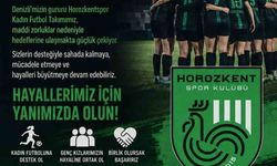 Horozkent finansal sıkıntılar yüzünden lige katılamayabilir