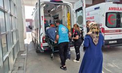 İncir toplarken ağaçtan düşen kişi yaralandı