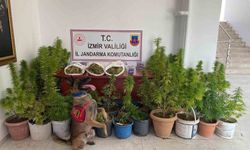 İzmir'de uyuşturucu operasyonu: 3 tutuklama