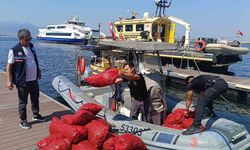 İzmir'de yasa dışı kara midye operasyonu: 560 kilogram midye denize iade edildi