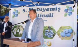 İznik'te 5. Maviyemiş Festivali'ne yoğun ilgi