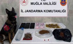 Jandarma KOM ekiplerinden Temmuz'da 24 operasyon