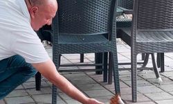 Kahvehaneye gelen sincabı elleriyle besledi