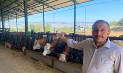 Kaliteli süt nasıl olmalı