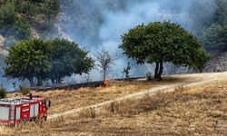 Karabük'te anız yangını ormanlık alana sıçramadan söndürüldü