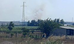 Karacabey'de makilik alanda orman yangını