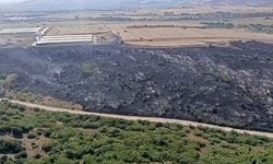 Karacabey'de makilik alandaki yangın fabrikaya ulaşmadan söndürüldü