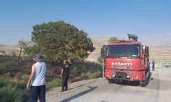 Karapınar'da ot yangını paniğe neden oldu