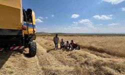 Kars'ta biçerdöver hasadı kontrolleri sıklaştırıldı
