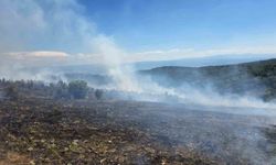 Kastamonu'da çıkan orman yangını kontrol altına alındı