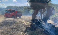 Kastamonu'da çıkan örtü yangını söndürüldü