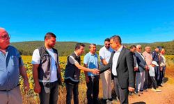 Kaymakam Titiz hasat sevincine ortak oldu