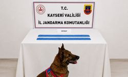 Kayseri'de jandarmadan uyuşturucu operasyonu: 1 gözaltı