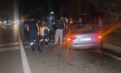 Kazadan kaçarken orta refüje çıkıp ağaca çarptı