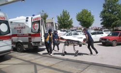 Kontrolden çıkan araç araziye savruldu, sürücü yaralandı