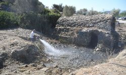 Kuşadası'nda tarihi Roma Hamamı'nda temizlik çalışması