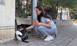 Kütahya'da kedi vahşeti: Başını ve ayaklarını kesip apartmanın önüne bıraktılar