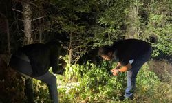 Kütahya'da ormanlık alanda silahlı yaralama: 1 kişi yakalandı