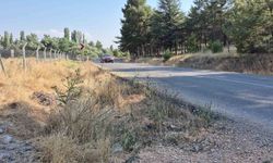 Mahalle muhtarından yol kenarlarındaki kurumuş otlar için 'yangın' uyarısı