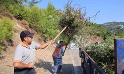 Marmaris'te yangın riskine karşı kapsamlı temizlik