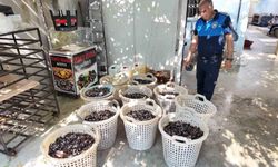 Mersin'de 200 kilo bozuk midye dolması ele geçirildi