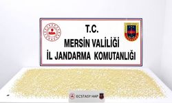 Mersin'de 3 bin 760 uyuşturucu hap ele geçirildi