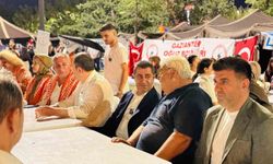 Milletvekili Bozgeyik 'Türkiye'nin birlik ruhunu yürekten hissettik'