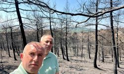 Mimarlar Odası Başkanı Şahin: 'Ormanlarımızı alevler kadar ihmaller de yakıyor'