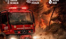 Muğla Valiliğinden 'Yeşil Vatan' uyarısı