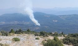 Muğla'da orman yangını