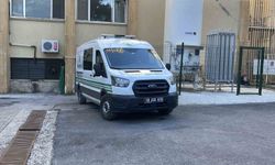 Ordu'da kene tutunan kadın Sivas'ta vefat etti