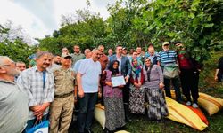 Ordu'da yaklaşık 1 ton fındık cami ihtiyaçları için toplandı