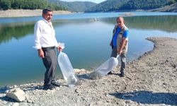 Orhaneli'de göletler sazan yavrularıyla buluştu