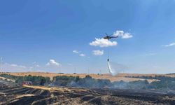 Orman ve anız yangını havadan ve karadan müdahaleyle söndürüldü