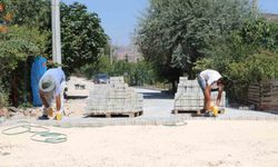 Osmaneli'ni güzelleştirme çalışmaları sürüyor