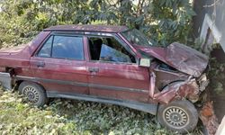 Otomobil boş kulübeye çarptı: 1 yaralı