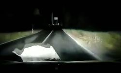 Otomobil domuza çarptı; çarpma anı araç kamerasında