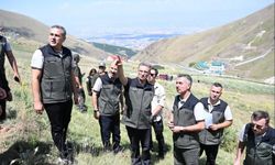 Palandöken'in orman varlığına inceleme