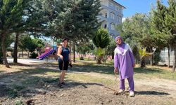 Parktaki ağaçların sökülmesine vatandaşlardan tepki