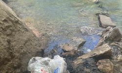 Piknik alanına bırakılan çöpler vatandaşın tepkisine yol açtı