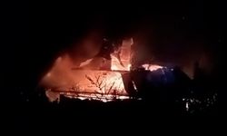Pokut Yaylası'nda çıkan yangında 1 işletme kül oldu