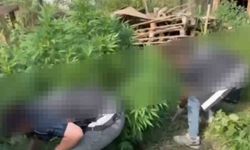 Sakarya'da uyuşturucu operasyonu: 2 gözaltı