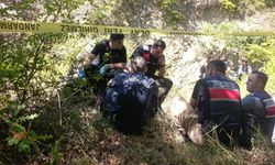 Samsun'da koyunlarını otlatmaya giden adam ormanda ölü bulundu